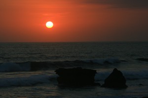 IMG_1325 IMG_1325